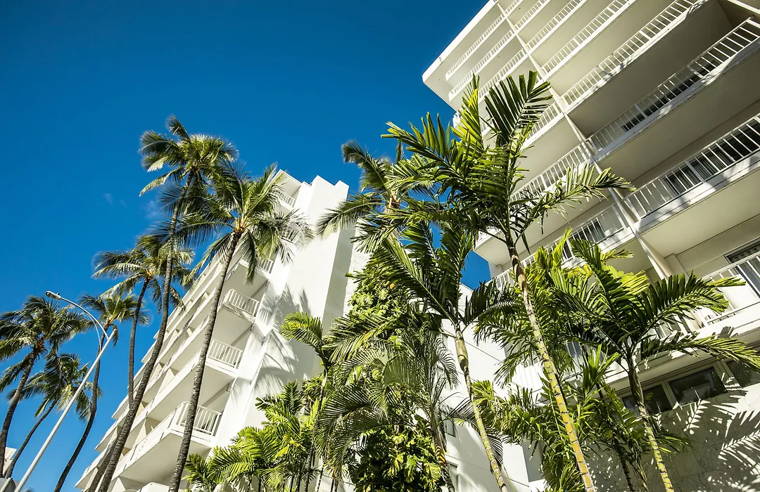 Oasis Hotel Waikiki-1